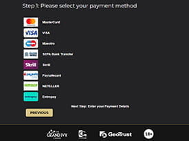 Numerous Payment Methods at Grand Ivy Casino