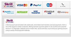 Choose the Payment Option ‘Skrill’